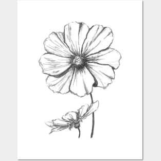 Cosmos Flower Posters and Art